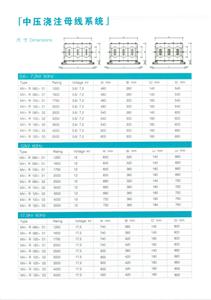 中压浇注母线系统